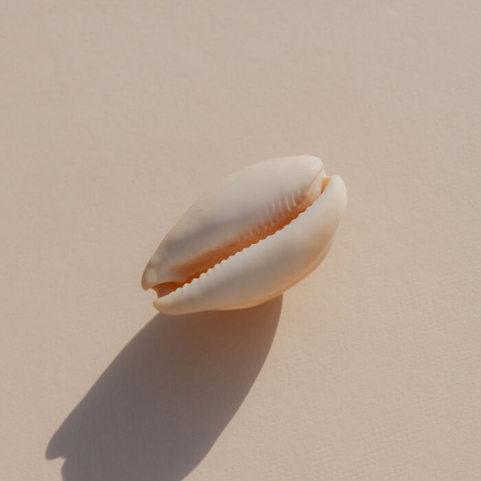 Körperorientierte Psychotherapie