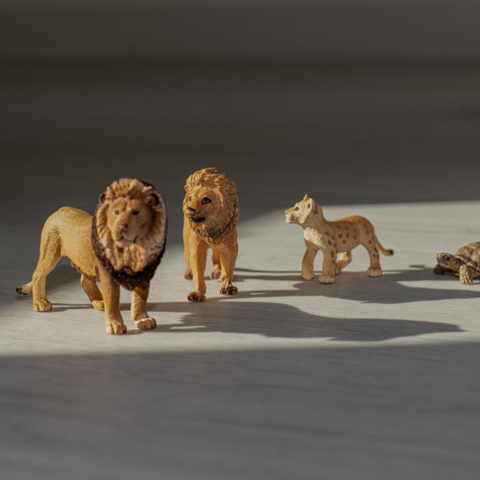 Systemische Elternberatung & Coaching